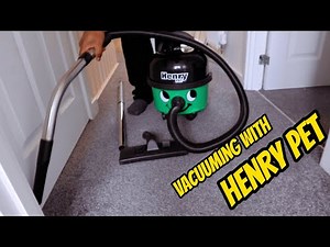 Vacuuming With Numatic Henry Pet Crevice Tool| White Noise Henry Hoover Sound Very Satisfying!