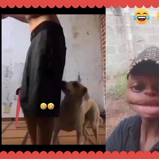 The dog get anger issue 🤣😆😂 #laugh #lessonslearned #LaughOutLoud | Gaspiro Twister