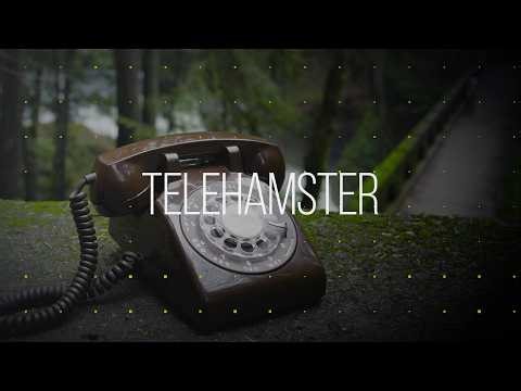 In Bellingham: Telehamster