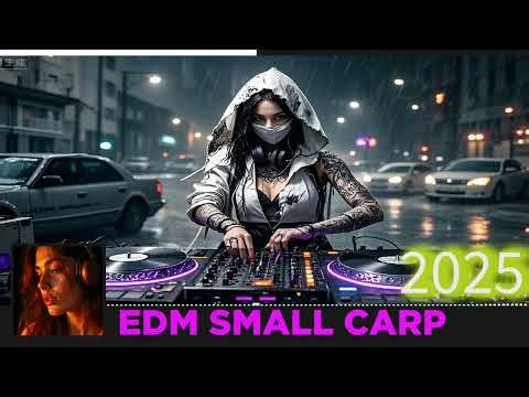 "The Best EDM Songs of All Time: A Playlist to Elevate Your Vibe!"