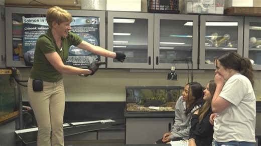 Sea lamprey captures fear, curiosity in the classroom