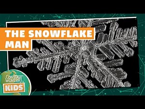 The Snowflake Man