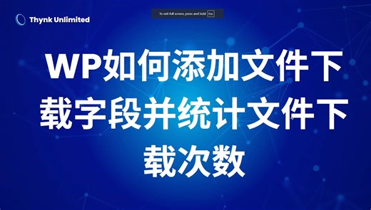 WordPress如何添加文件下载字段并统计下载次数第一课 - WordPress网站开发建设教程