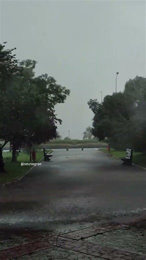 Wow heavy rain pouring down and waiting for the last seconds 🌧️🍀#reels #fyp #nature #love #rain