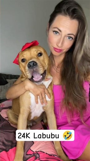 24K Labubu #labubu #dogs #dogsofyoutube #dogfun