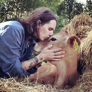 2.9M views · 176K reactions | Guy gives up EVERYTHING to save as many animals as he can ❤️️ | The Dodo | Facebook