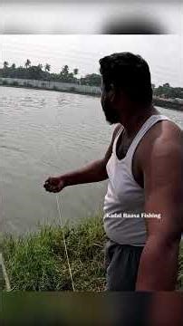 River Mullet Fish Catch with Natural Maida Bait & Bottle Trap #MulletFish #RiverFishing #fishing