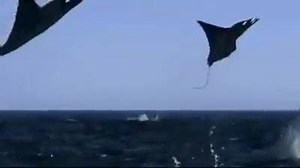 7.7K views · 159 reactions | Amazing pictures on Reels | Facebook