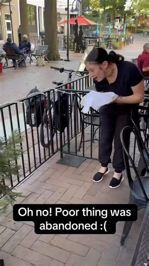 SSL Gameplay Highlights in Rocket League