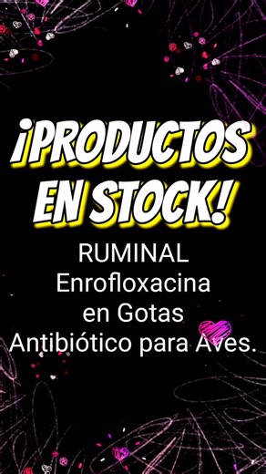 Animalandia StaFe Veterinaria on Instagram: "¡NUEVOS INGRESOS! Enrofloxacina Gotas @laboratorioruminal 🐥 Antibacteriano bactericida a base de Enrofloxacina. Infecciones bacterianas causadas por Escherchia coli, Haemophilus spp, Klebsiella spp, Pasteurella spp, Salmonella spp, Chlamydia spp, Mycoplasma spp y Staphylococcus spp, sensibles a la Enrofloxacina. 📲 Hacenos tu consulta personalizada a nuestro WhatsApp: 342 5 333 000 ✅️ Sólo mensajes. ❌️ No llamadas. ✅️ Sólo atención comercial. ❌️ No c