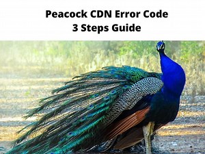 Fix Peacock CDN Error Code - 3 Steps Guide 2025