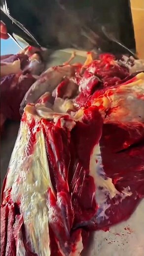 How Cattle Process in Factory - Amazing Beef Cutting