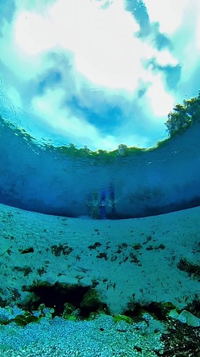 Come join us beneath the sea! Tails by @Mertailor Mermaids @Luna Marie @Felicia with Fins @Underwater Activist Mermaid Shot on @insta360_official #mertailor #mermen #merman #mermaid #merpeople #merfolk #thelittlemermaid #ursula #kingtriton #netflix #blacksea #underwaterworld #magicallife
