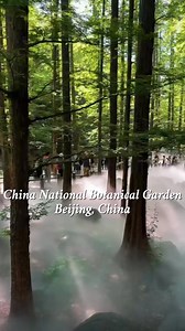 Step into Beijing's living museum— China National Botanical Garden! Home to over 30,000 plant species, including 15,000 protected ones, it awaits your discovery. #chinatravel | ChinaTravel Guide