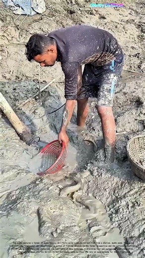 Mud-Wrestling with Fish: How Farmers Turn Muck into a Meal