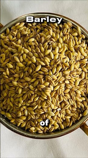 Best Feeds for Horses