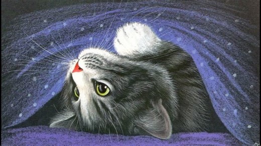 Видео 2 | OK.RU