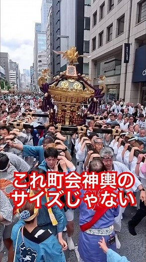 檜物町会の大神輿、日本橋を往く——【山王祭2026】 下町連合渡御 #神輿 #祭り #日本文化