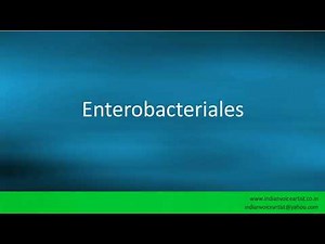Pronunciation of the word(s) "Enterobacteriales".