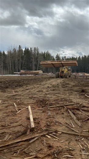 Weaver Beaver on the loose!!! | Langberg Log Homes