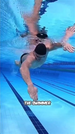 Why Swimmers Train in This Tiny Pool!