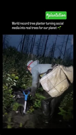world record tree planter turning social media into real trees for our planet. #worldrecord #shorst