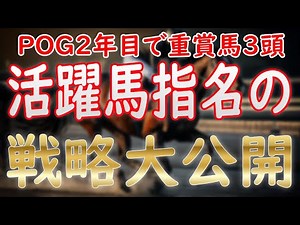 【POG2025-26】 POGYouTuberが語る活躍馬を指名する基本戦略 ～POG2年目でクロワデュノールを指名！～