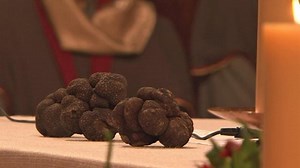 Stem Cell Fraud, Marine Brothers, Most Expensive Food