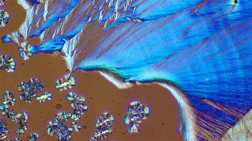 The Prismatic Look of Vitamin C Under a Microscope