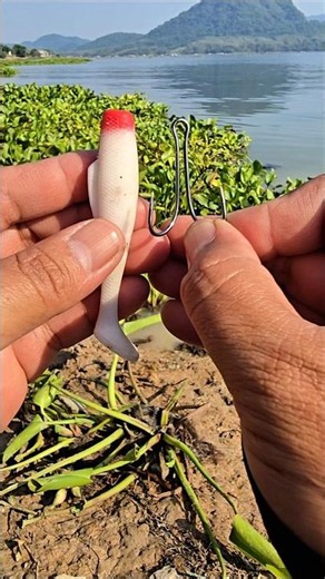 Recommended Soft Lures and Setup Techniques👍👍 #fishing #fishingtips #bassfishing #angler