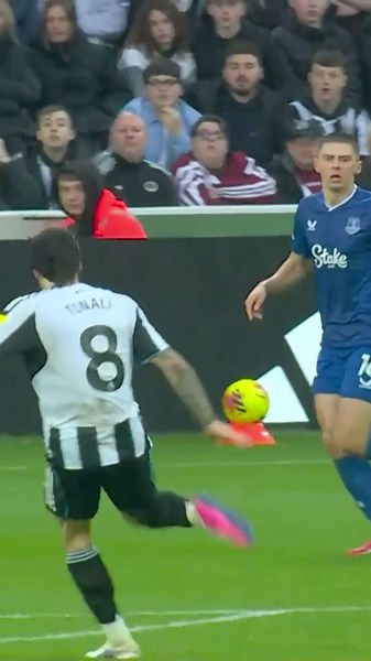 Jordan Pickford's WORLD-CLASS save from Sandro Tonali's volley! 🤯 #everton #newcastle #premierleague