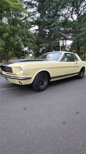 Just Listen To This 1966 Ford Mustang! 🎶