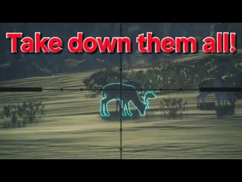 Hunting everything I see on Emerald coast in the hunter call of the wild