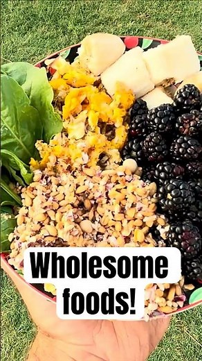 What We Feed Our Baby Chicks | Whole Foods, Less Junk Feed 🐥