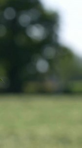 29K views · 1.6K reactions |  BACK BRITISH FARMING DAY A day to celebrate, highlight and acknowledge the work of farmers up and down the country. #backbritishfarming #backbritishfarmingday #AgriTok #farming | Farmers Guardian | Facebook