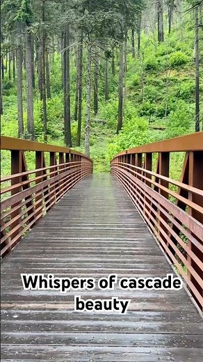 Cascade Locks Oregon | Stunning Water Views & Lush Green Trees in Columbia River Gorge | PNW Nature