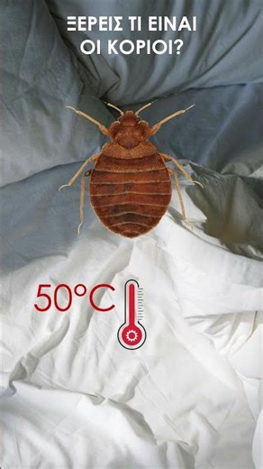 Αναγνωρίστε και καταπολεμήστε τους κοριούς #bedbug #home #shorts