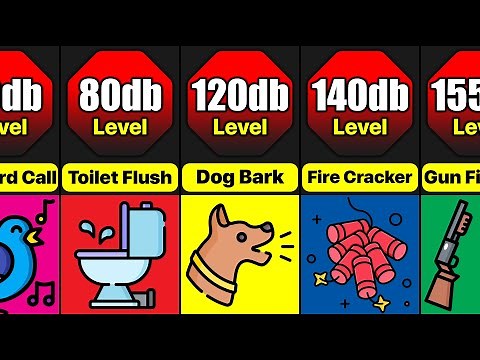 Loudness Comparison | How Loud Are The Sounds We Hear Everyday