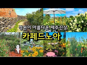 정원이 아름다운 제주도신상카페 카페드노아 / 서귀포카페추천 제주카페추천 감귤체험카페 아이동반