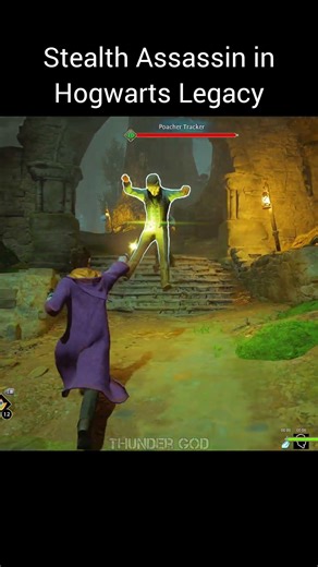 Stealth Assassin in Hogwarts Legacy Be like #gaming #hogwartslegacy #harrypotter