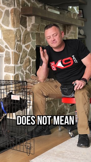 Top 3 Tips for Mastering Crate Training #dogtraining #dog #dogs #puppy #doglover #fyp | American Standard Dog Training