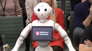 Pepper the robot gives evidence to Parliamentary committee