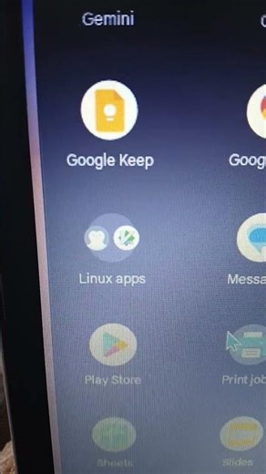 I'm an advanced user on Chromebook