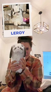 Cuddle Clones on Reels