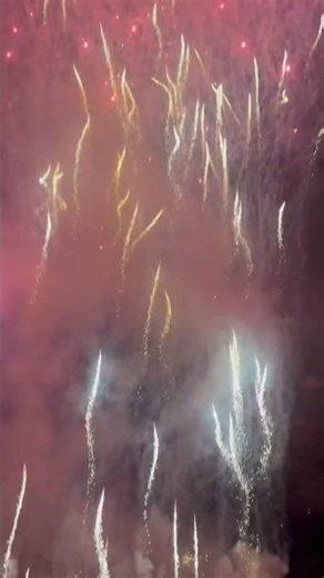 Squealing like a pig 🥵 #pyrotechnica #fireworks #pyro #pyrotechnics