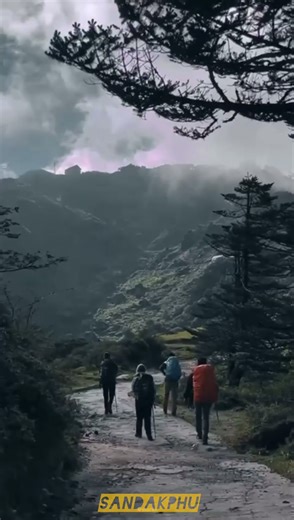 Climbing through the Clouds on Nepal Border #sandakphutrek #lifeisbutadream