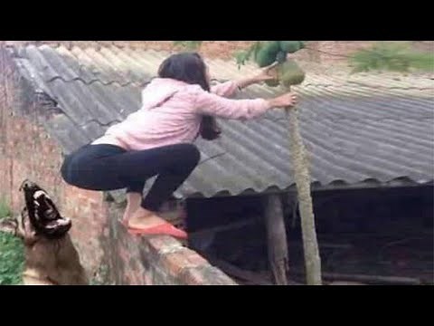 РЖАКА ДО СЛЕЗ 😂 30 Минут смеха 2024 Смешные видео Лучшие Лютые ПРИКОЛЫ #4