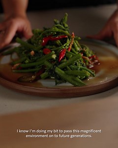 Clean, efficient and precise. Discover Miele induction cooktops today. | Miele