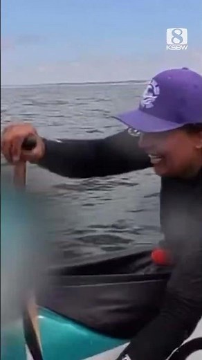Monterey outrigger race turns wild as sea lion hops aboard crew’s canoe