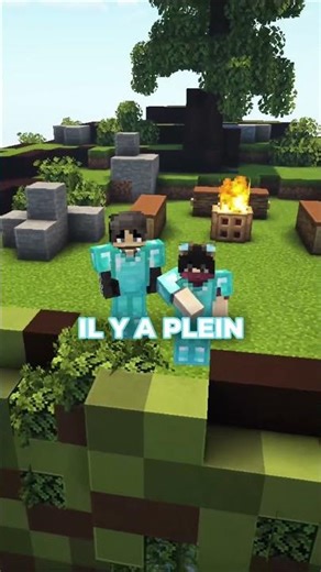 Top des meilleurs serveurs minecraft.